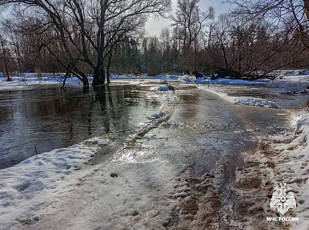 В Смоленской области две реки затопили участки дорог В Смоленской области две реки затопили участки дорог