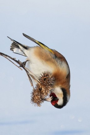 Доброе утро, друзья! Наступил понедельник, а значит, впереди целая неделя новых возможностей, встреч и маленьких радостей