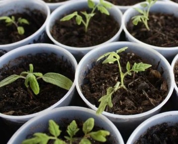 �������� ������ �� ����������� ������� �������