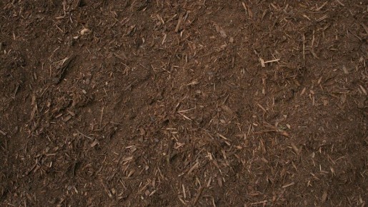 ��� ��������� ���������� ����� �� ����: ������ � ������������