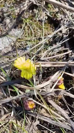 � � ��� ����� �������� ����� � �������������� �����������, ��������� ���������