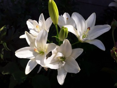 �������� �����: ������ ������ ��� ���� � ������ �� ����� ����