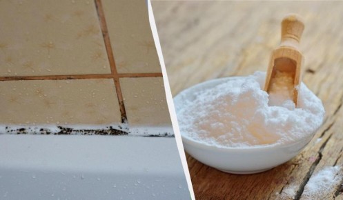 ����������� �������� ��� ������ ���� ����� �������: ����������� �� ������ �� 30 �����