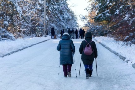 ���� � ��� ����������� �������� � ������ �� ���� ��� ������������