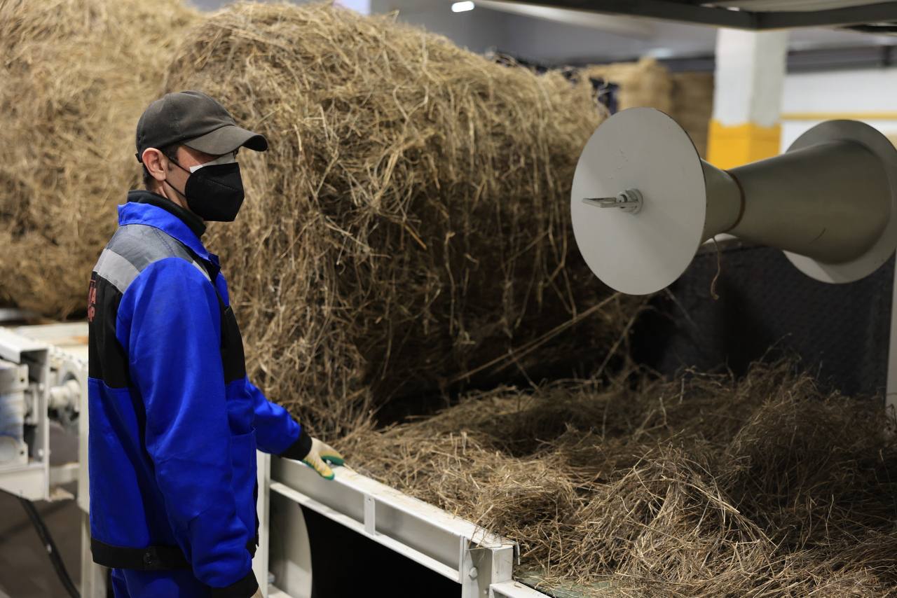 Василий Анохин: Возрождаем льноводство в Смоленской области Василий Анохин: Возрождаем льноводство в Смоленской области