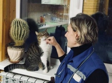 ������ ������ �� ���������� �������������