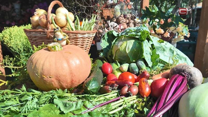 Как сохранить полезные вещества в продуктах при готовке