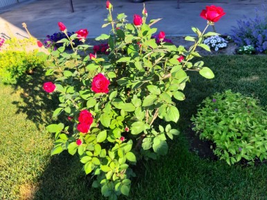 ��� ���������� � �������� �� ����� � ������������ ������