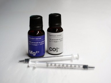 ��� ������ ���� ������ �� ���� ����: �������� ������� ����������