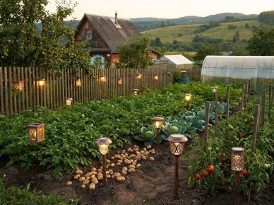 ������ ��������: �������, ������� ���������� �������� ���������