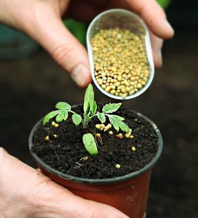 ��� ��������� ������ �������� ��� ������������� ������