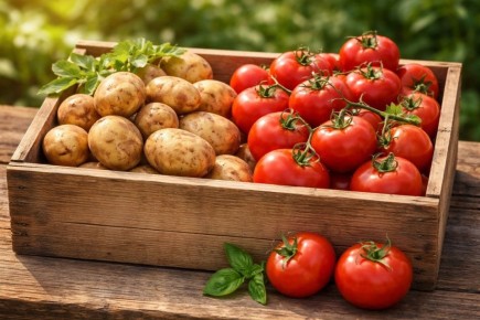 Почему стоит избегать соседства картофеля и помидоров?