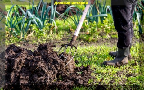 Органическое земледелие: как подготовить дачу к зиме без химии