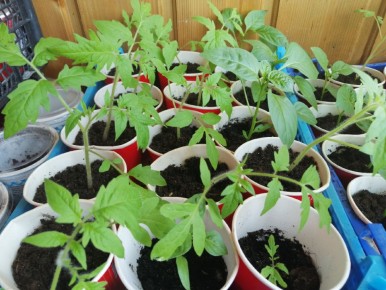 �������� � ��������: ��� ������� ������������ ����� � �������� ������