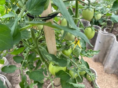 ���������� ��������� ��� �������: ��� ������ �������� �������� ������ ������