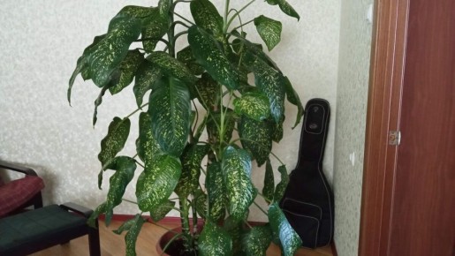 ��������� ������, ������� ���������� �����: ��� �������� �������� �������� ��������� �����