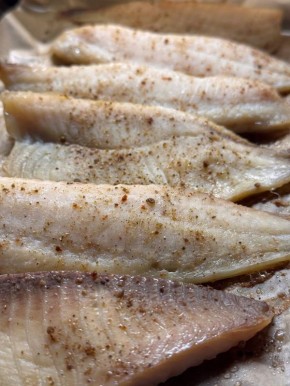 Кулинарные эксперименты на выходных: медовик без сахара