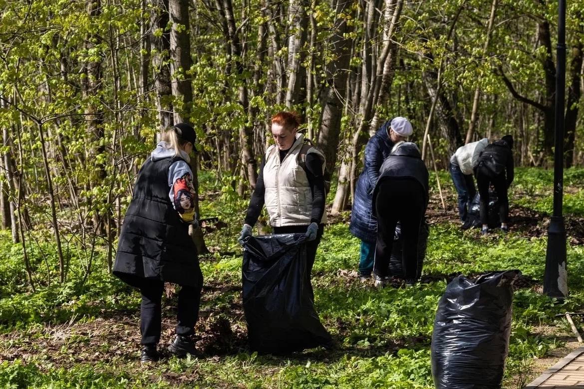 Александр Новиков: Начал сегодняшнюю общегородскую планерку с объявления о старте весеннего экологического месячника, который начнётся уже 1 апреля