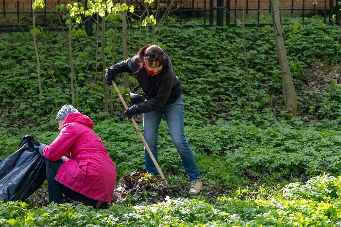 Александр Новиков: Начал сегодняшнюю общегородскую планерку с объявления о старте весеннего экологического месячника, который начнётся уже 1 апреля Александр Новиков: Начал сегодняшнюю общегородскую планерку с объявления о старте весеннего экологического месячника, который начнётся уже 1 апреля
