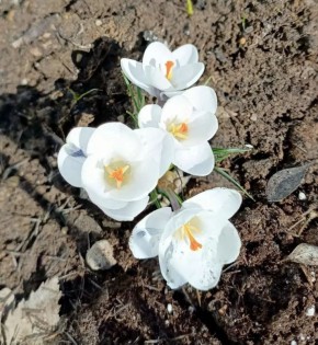 � ������� ����� ������, ������!