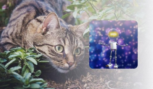 ��� �������� ����� ������ � ����: ����������� �������