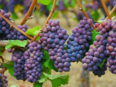 �������� �������� �� ���������� � ������������ �������� ������ ���� � ������� ������