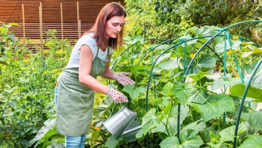 ����� �� ������ ������ � 2026 ����: 5 ������ ������ �� � 5 ������