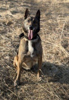 � ��������� ��������� ������ ���� ����� ���