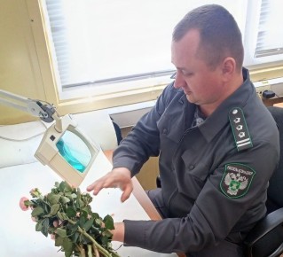 � ���������� ������� �������� ���� ���, ���������� ����������