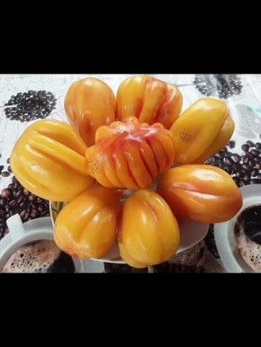 ����� �������������� �������: ��� ��������� ����� ������ ������ ����