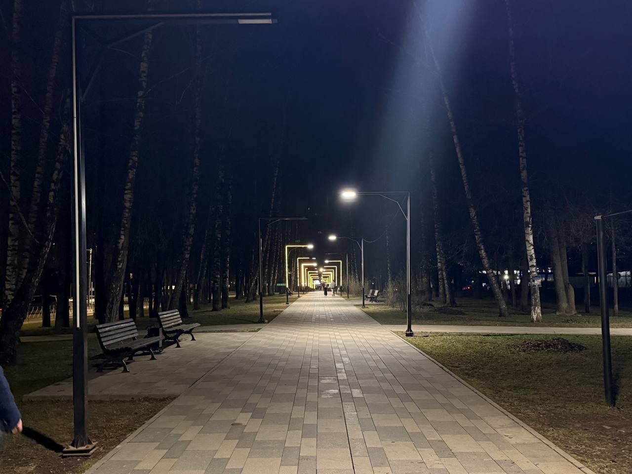 Глава города проверил качество освещения в смоленских парках Глава города проверил качество освещения в смоленских парках