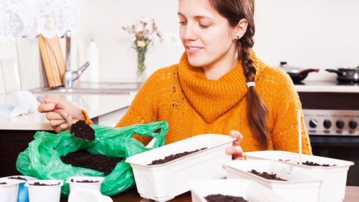 ���� ������, ������� ����� ���� �������: ������ ��� ��������� ������� � 2025 ����