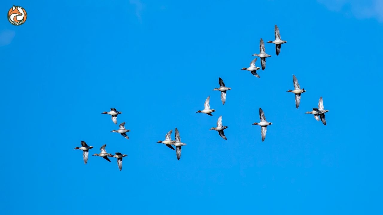 С началом новой недели, друзья! С началом новой недели, друзья!