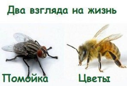 Как избавиться от привычки жаловаться и стать счастливее