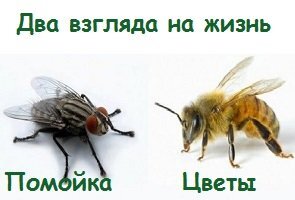 Как избавиться от привычки жаловаться и стать счастливее