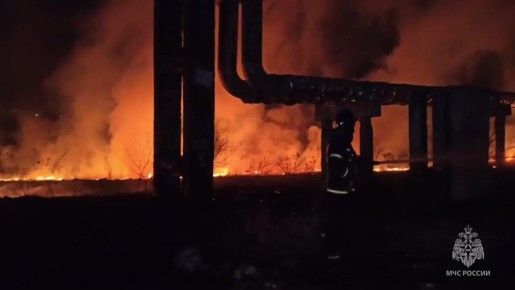 В Смоленской области составили 14 административных протоколов из-за палов травы