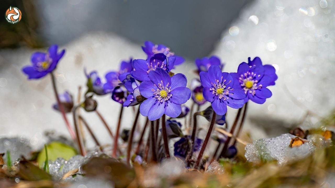 С началом новой недели, друзья!