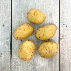 ��������� �� 808: ����������� ���� ���������� �����