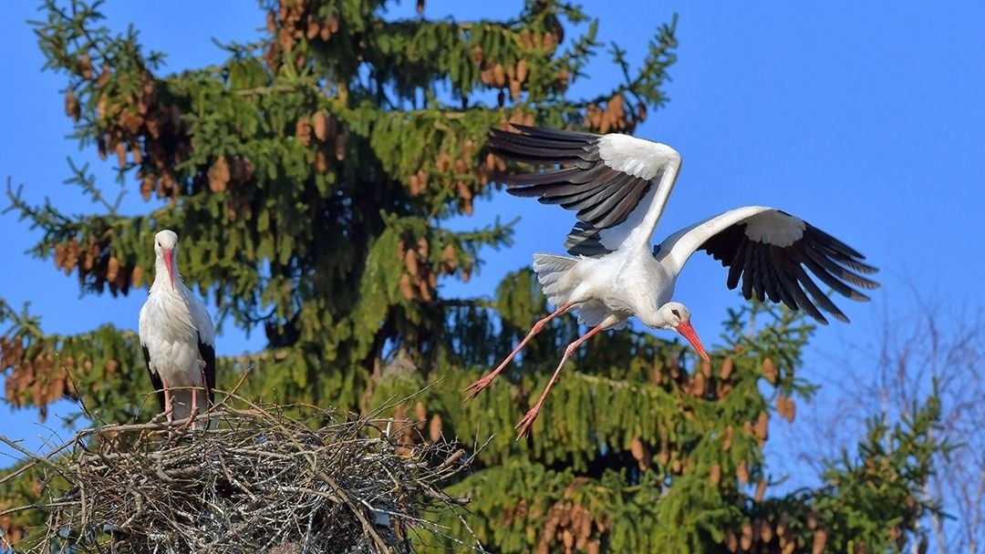 С началом новой недели, друзья! С началом новой недели, друзья!