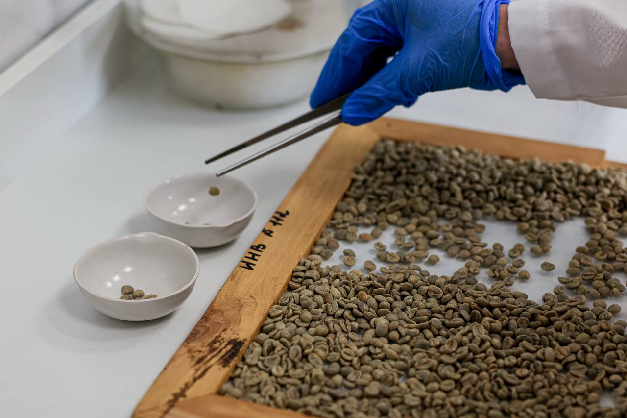 Василий Анохин: В Смоленском муниципальном округе запущено новое производство кофе Василий Анохин: В Смоленском муниципальном округе запущено новое производство кофе