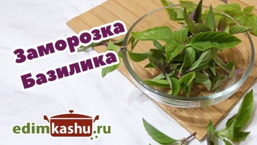 Как заморозить базилик на зиму