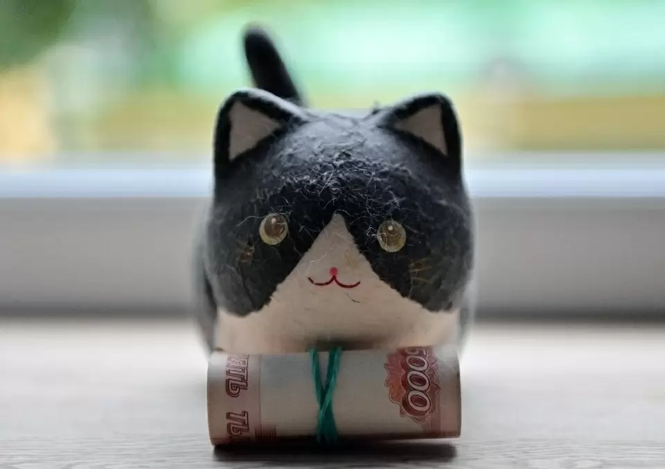 В России разрешены две пенсии: кто может на это рассчитывать