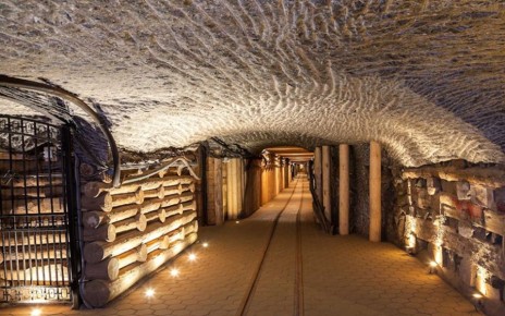 Специи как движущая сила торговых войн: от соли до шафрана