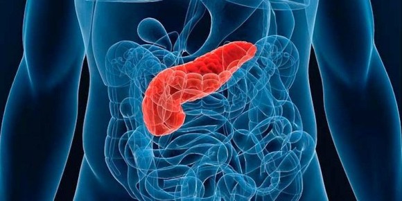 ��� ������������� �������� ������ ����� ������ �� ��������� ���������