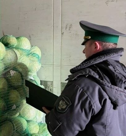 Сотрудники Управления Россельхознадзора по Брянской, Смоленской и Калужской областям пресекли попытку незаконного экспорта продукции в Республику Беларусь Сотрудники Управления Россельхознадзора по Брянской, Смоленской и Калужской областям пресекли попытку незаконного экспорта продукции в Республику Беларусь