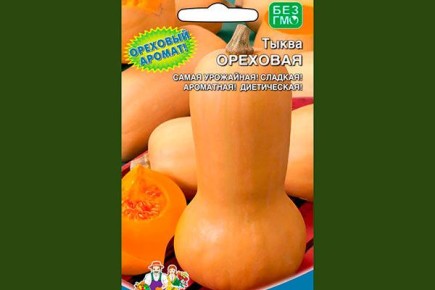 Тыква Ореховая: секреты успеха и простота ухода для дачников