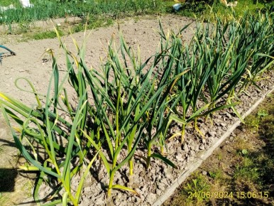 ��� ������ ��������� ��������� �� ������ ��������, ����� �������� ���������� � �������� ������� �������