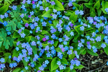 ���������������: ����������� ����� ��� �������� ������������� ����