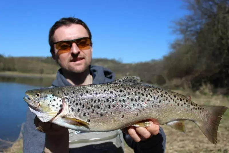 Севанская форель: жемчужина армянской кухни и экосистемы