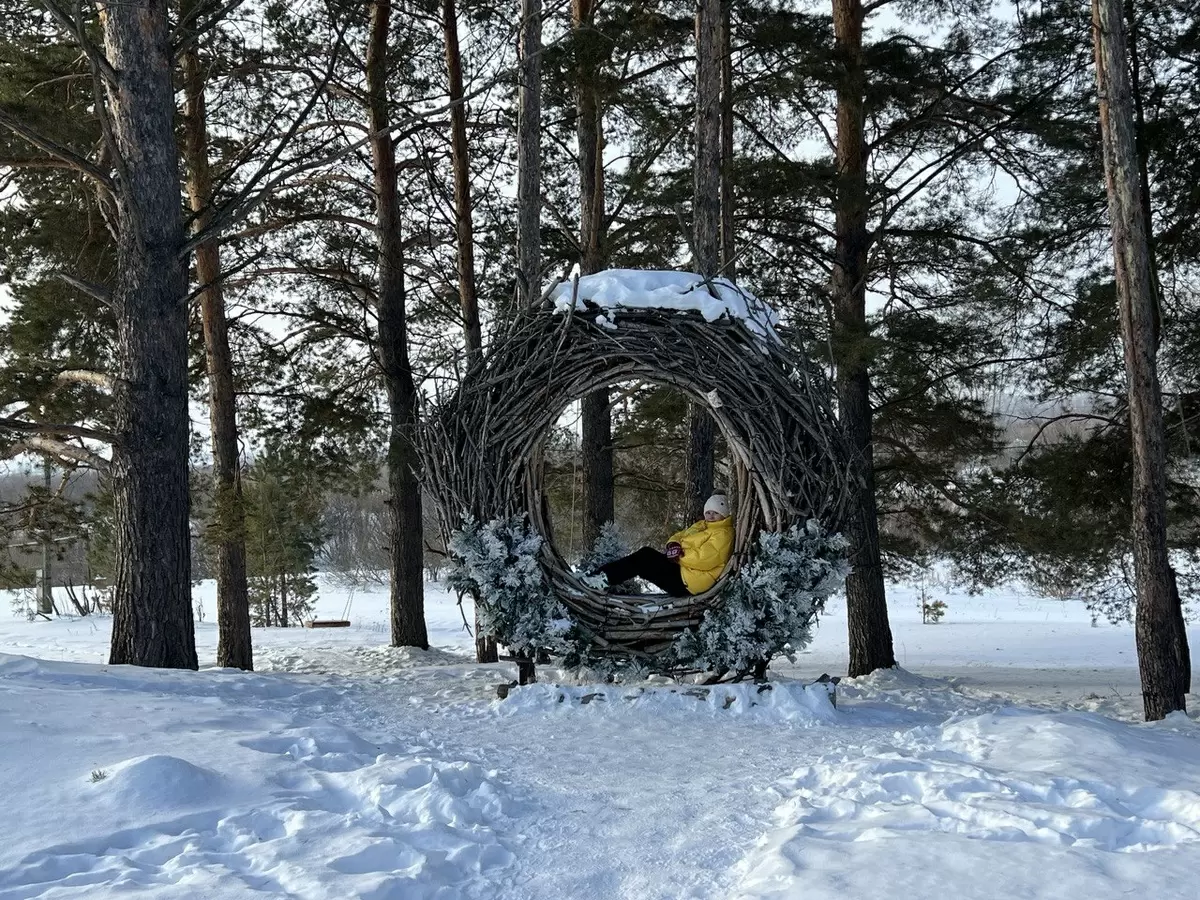 Деревья и кустарники на штамбе: стиль и практичность в ландшафтном дизайне